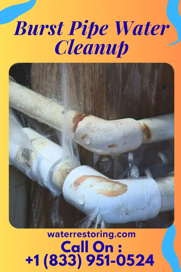 Burst Pipe Water Cleanup in La Valle, WI