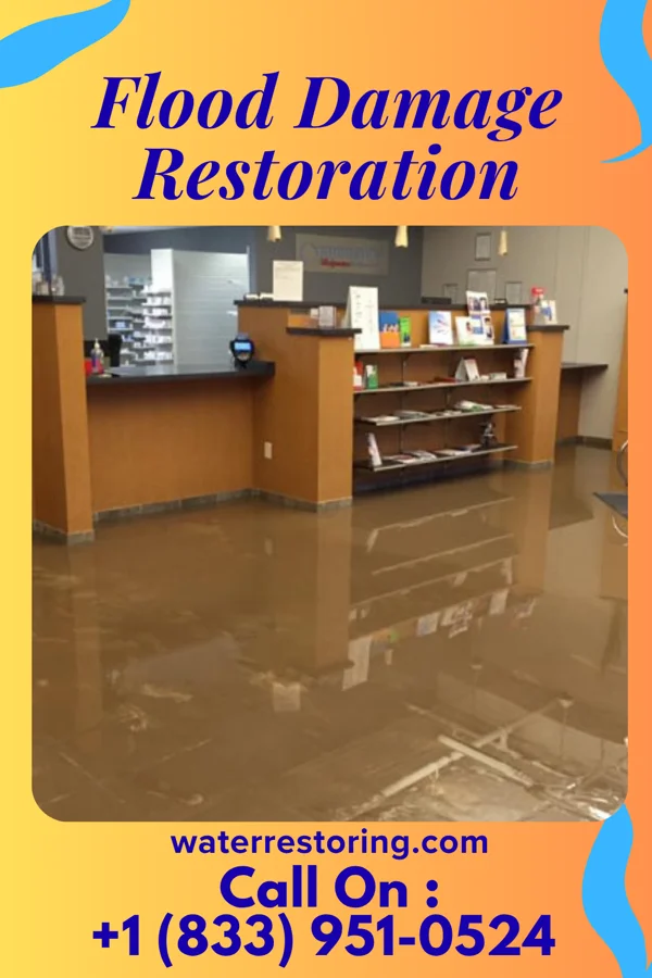 Flood Damage Restoration in La Valle, WI