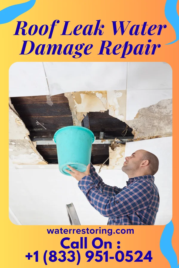 Roof Leak Water Damage Repair in La Valle, WI