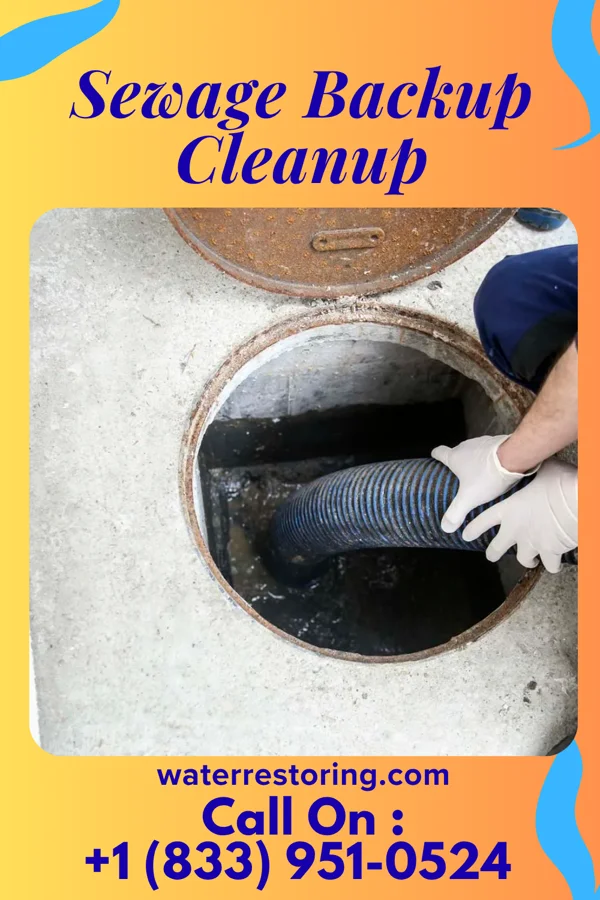 Sewage Backup Cleanup in La Valle, WI