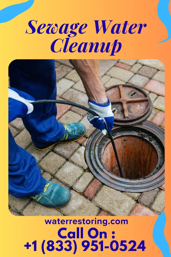 Sewage Water Cleanup in La Valle, WI