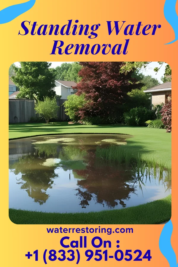 Standing Water Removal in La Valle, WI